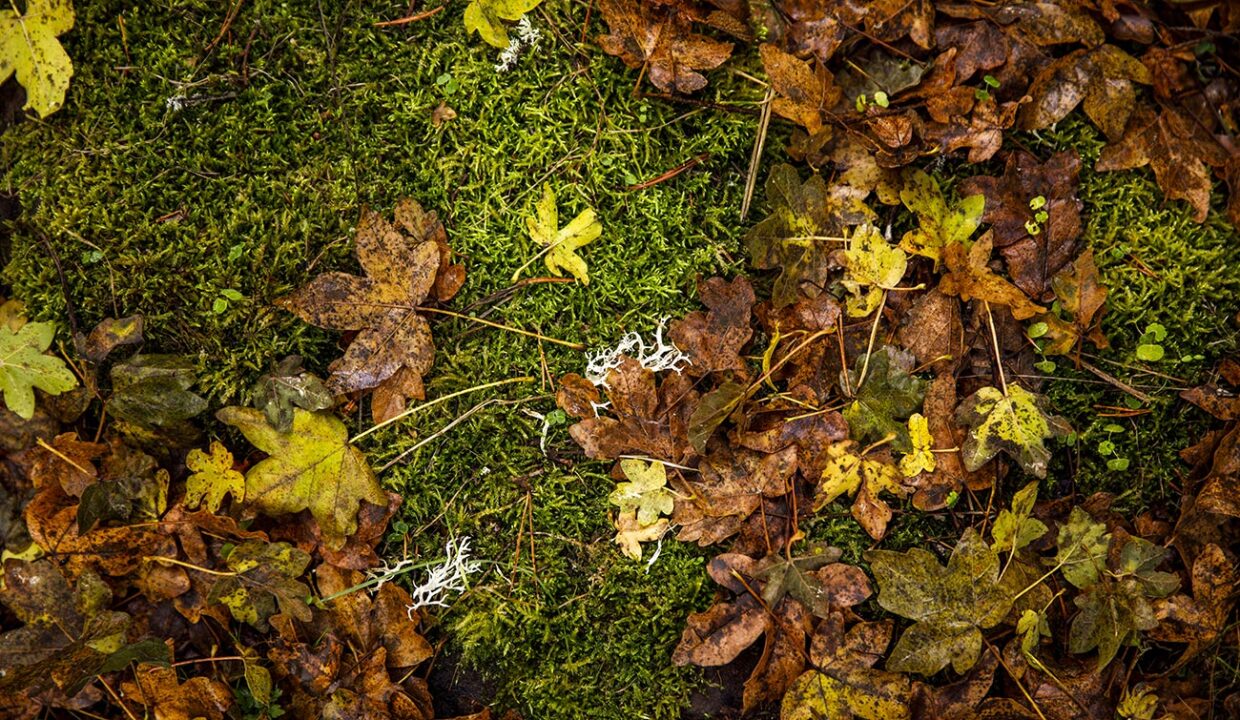 monasterio-de-valvanera__H9A8046_07