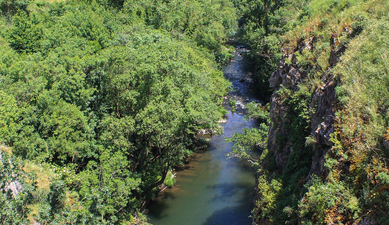02_Rio-najerilla-(2)