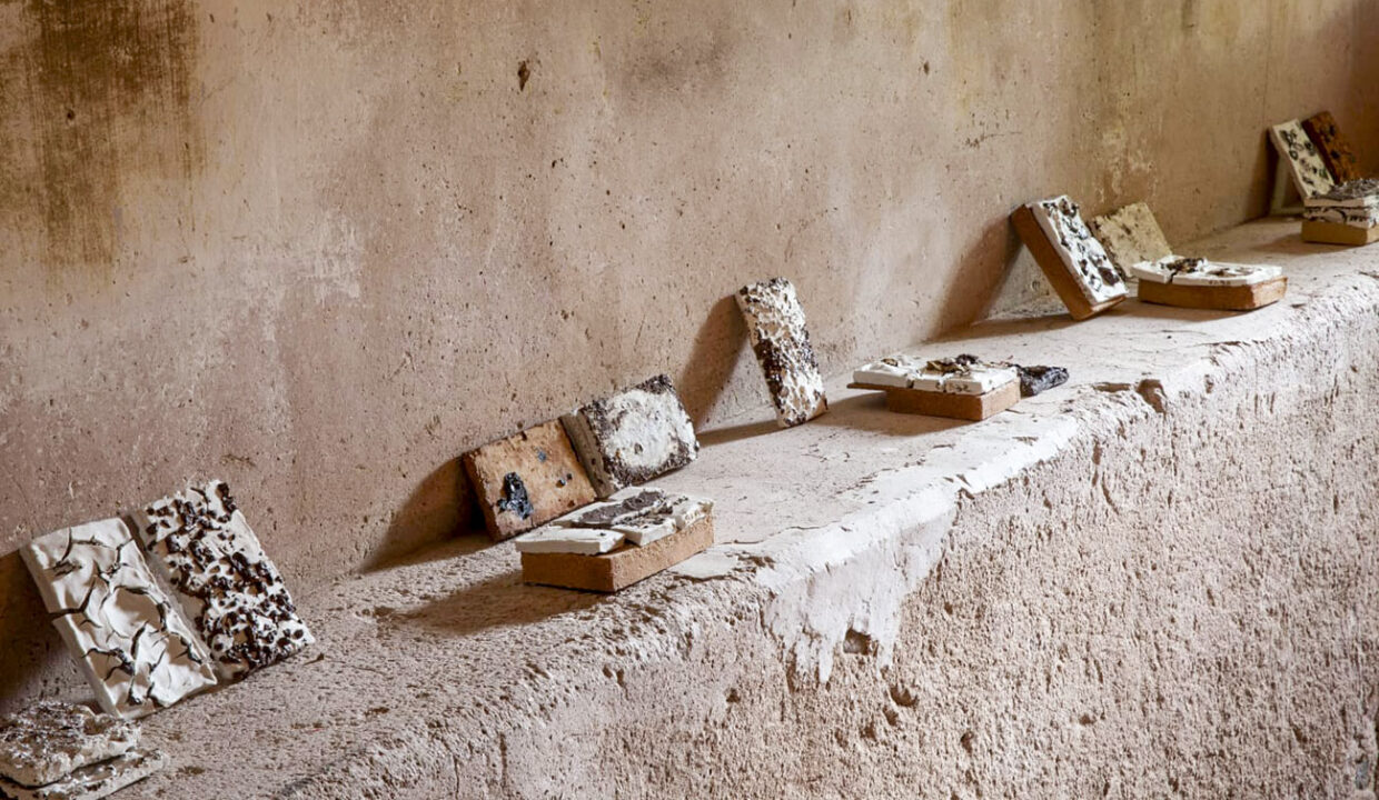 EspacioArteVaca_06_web